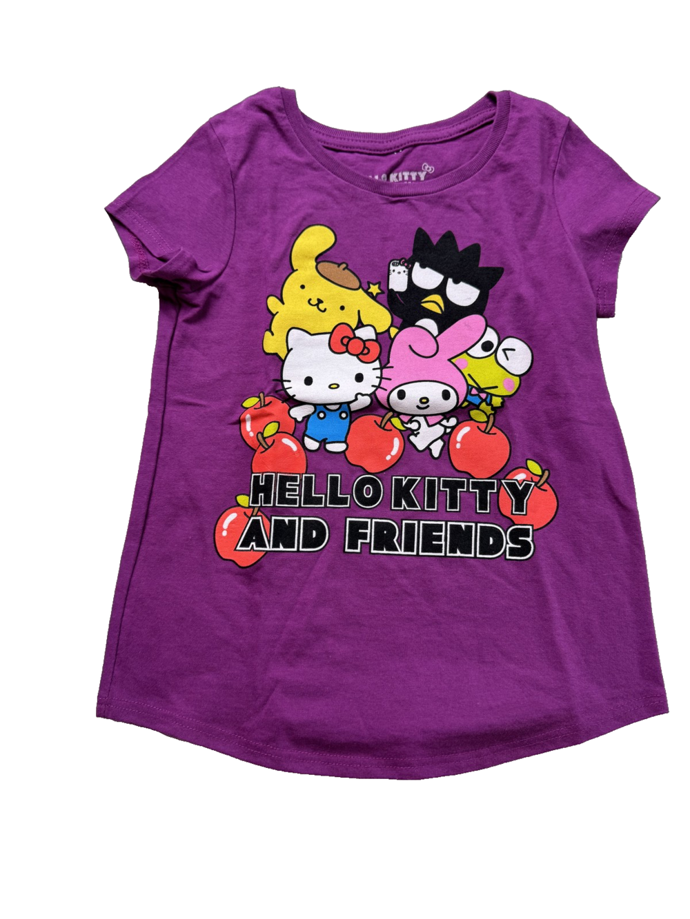 Hello Kitty And Friends Shirt Girls 3T Sanrio My Melody Keroppi Pompompurin Cute